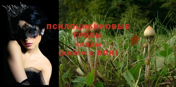 не бодяженный Михайлов