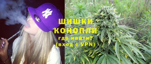 ГАЛЛЮЦИНОГЕННЫЕ ГРИБЫ Михайловск