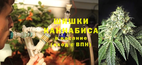 ГАЛЛЮЦИНОГЕННЫЕ ГРИБЫ Михайловск