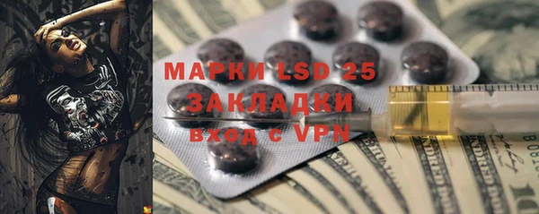 ГАЛЛЮЦИНОГЕННЫЕ ГРИБЫ Михайловск