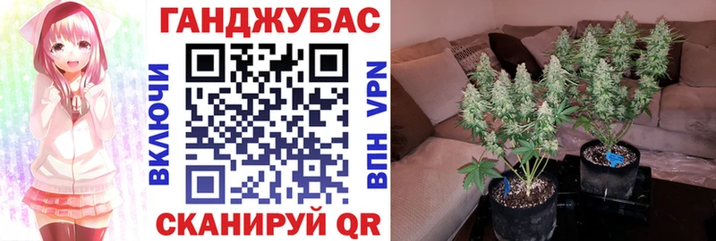 наркошоп  кракен вход  сайты даркнета формула  Ряжск  МАРИХУАНА сатива 